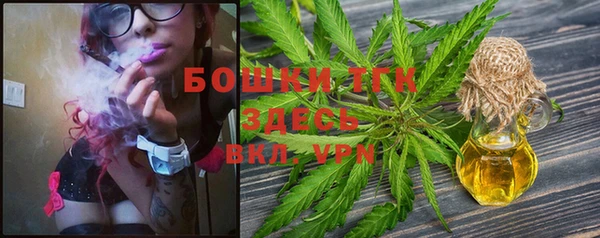 spice Новозыбков