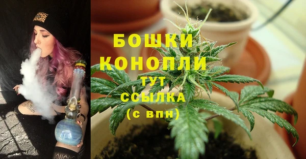 мет Новодвинск
