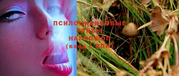 мет Новодвинск