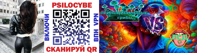 где купить   Магадан  Псилоцибиновые грибы Cubensis 